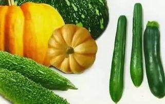 吃瓜网 - 免费吃瓜,免费吃瓜，畅享娱乐盛宴